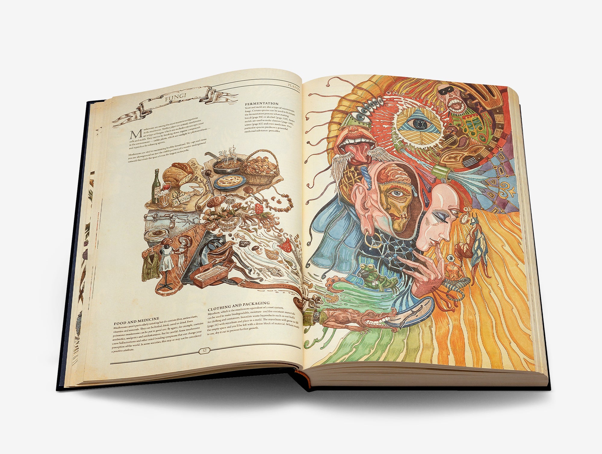 The Book. The Ultimate Guide to Rebuilding Civilization image #5